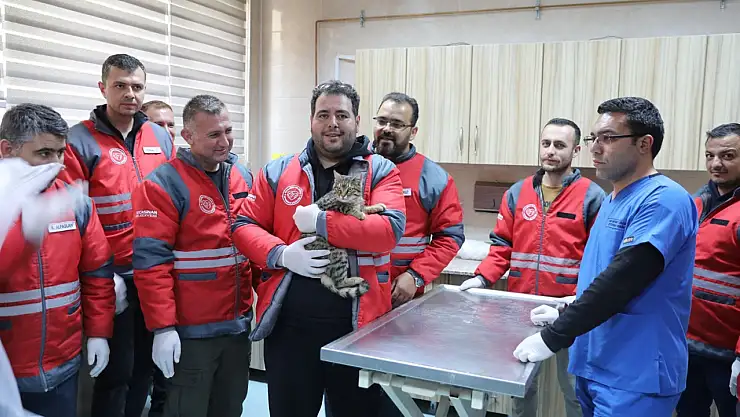 Kocasinan Belediyesi'nden veterinerlik personeline sertifikalı eğitim