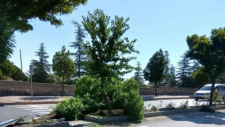 Otomobil takla attı: 1 yaralı