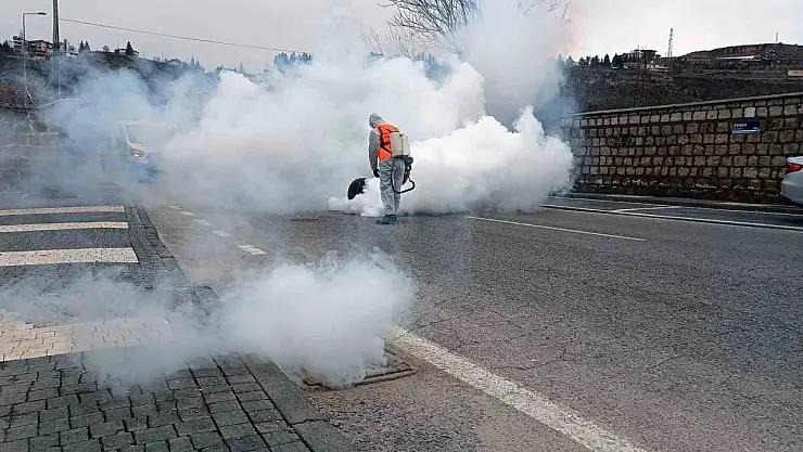 Talas'ta sinek ve haşerata erken önlem