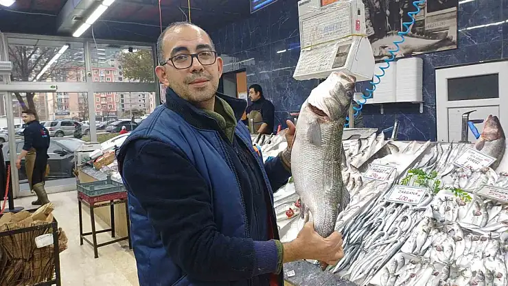 Tezgahlarda palamut yok, hamsi çok