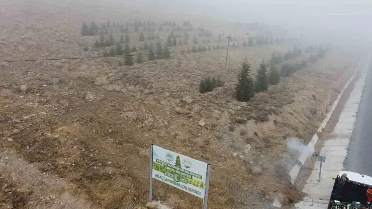 Yahyalı'ya bin 200 fidan dikildi