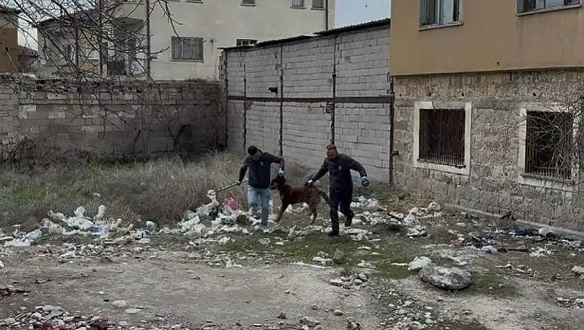 3 yaşındaki çocuğuna köpek saldıran baba: 'Köpeğin çocuğumuzu bırakması için çok uğraştık'
