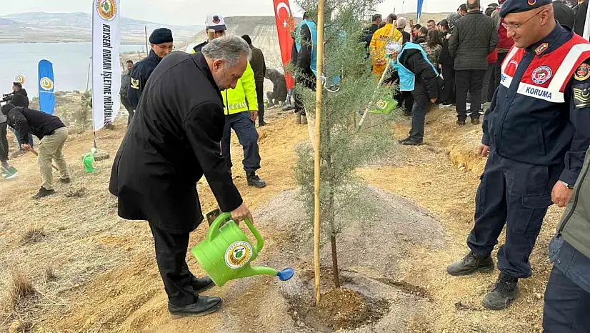 Ali Dağı'nın zirvesine 1111 fidan