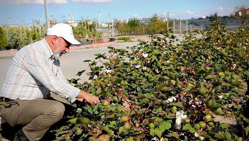 Başkan Çolakbayrakdar: 'Türkiye'nin en kapsamlı fidanlığıyla Kayseri'nin yeşil dokusu zenginleşiyor'