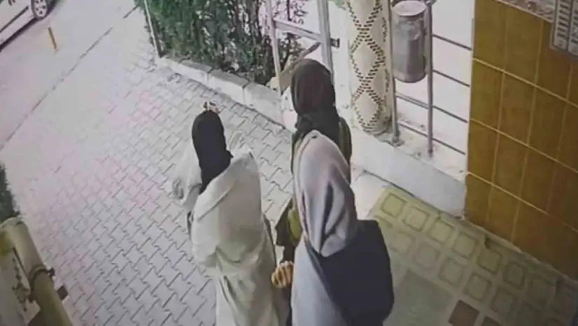 Ev fareleri kameraya yakalandı