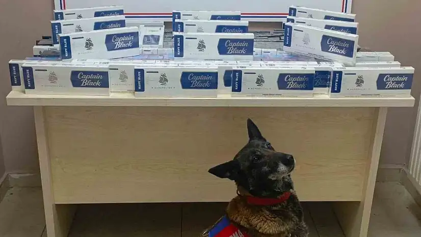 Kayseri'de bin 400 paket kaçak sigara yakalandı