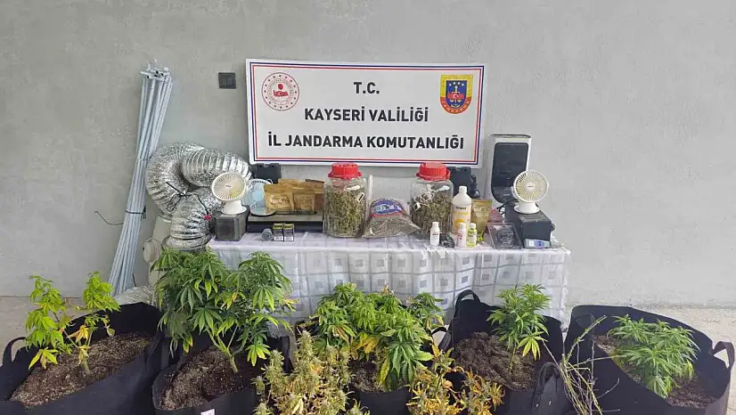 Kayseri'de evinde uyuşturucu yetiştiren şüpheli gözaltına alındı