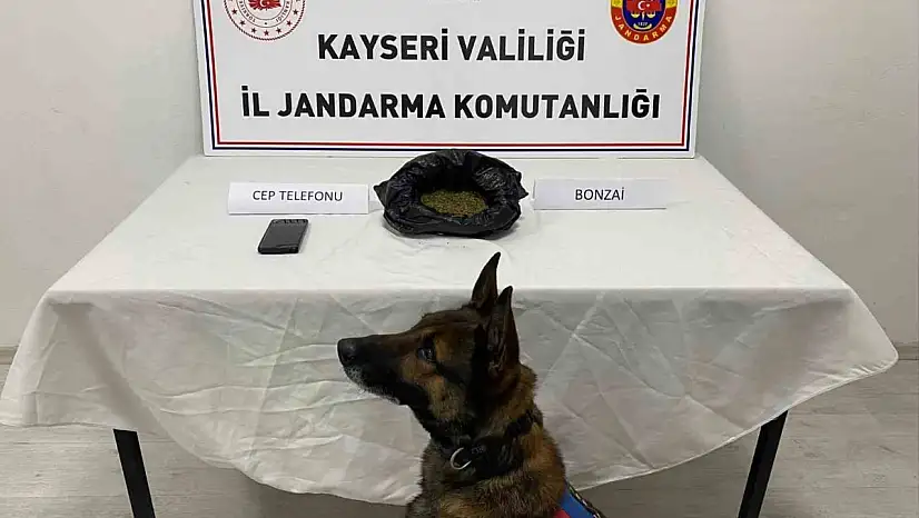 Kayseri'de uyuşturucu operasyonu: 1 gözaltı