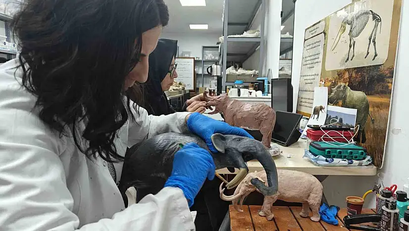 Milyon yıllık tarih minyatürleştiriliyor