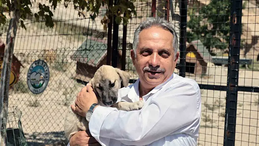 Talas Patievi Doğal Yaşam Alanı 500 can için seçkin bir yuva