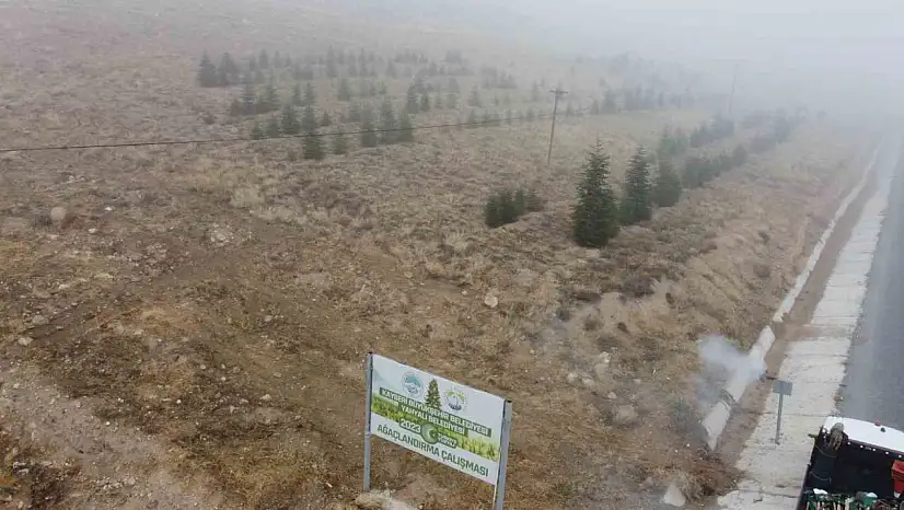 Yahyalı'ya bin 200 fidan dikildi