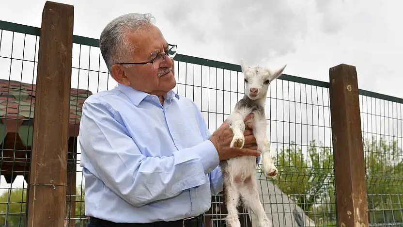 Başkan Büyükkılıç, hayvanat bahçesini ziyaret etti