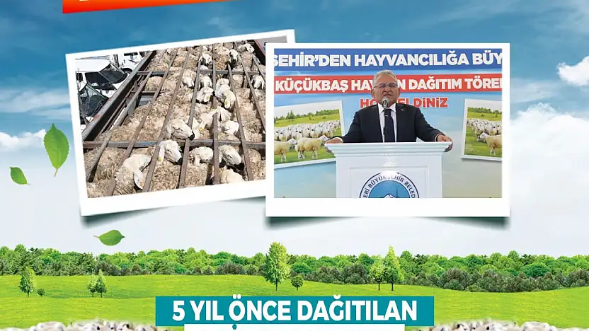 Başkan Büyükkılıç'tan kırsala, kendi kendini büyüten model: 150 bin küçükbaş artışı