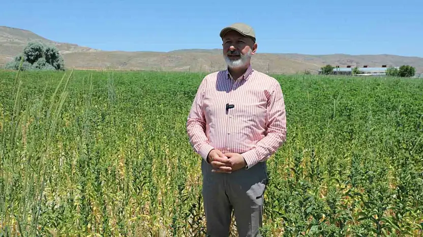 Başkan Çolakbayrakdar: 'Ekiyoruz, üretiyoruz, hasat ediyoruz ve ailelerimizle paylaşıyoruz'