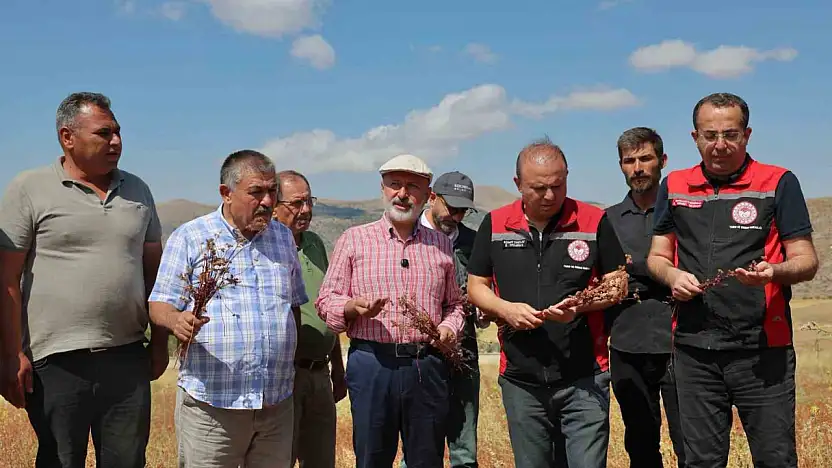 Başkan Çolakbayrakdar: 'Kocasinan'ı arıcılıkta merkeze dönüştüreceğiz, şehre yeni bir tarım ürünü kazandıracağız'