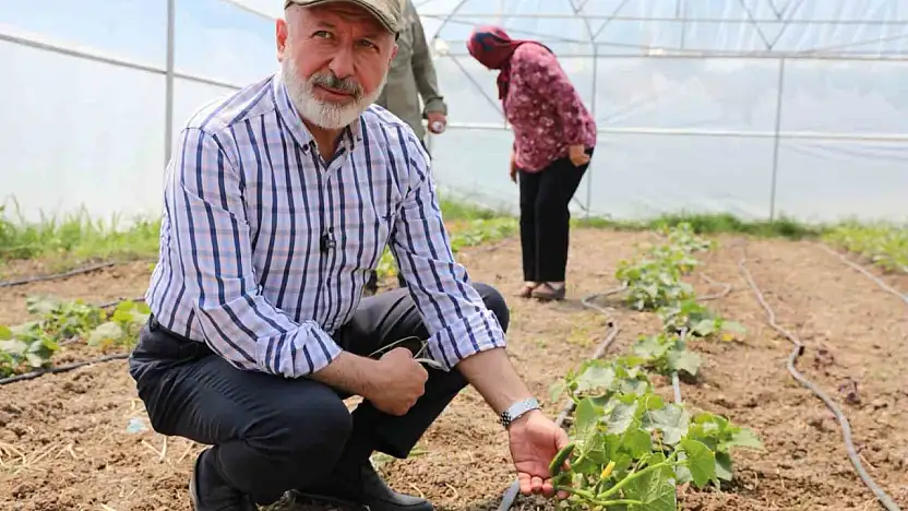 Başkan Çolakbayrakdar: 'Şehrin merkezinde tarım yapıyoruz, Türkiye'ye örnek oluyoruz'