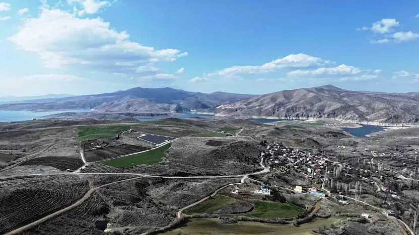 Başkan Çolakbayrakdar: 'Türkiye'de ağaç dikmede rekor kırdık, şimdi yeni bir rekor için çalışıyoruz'