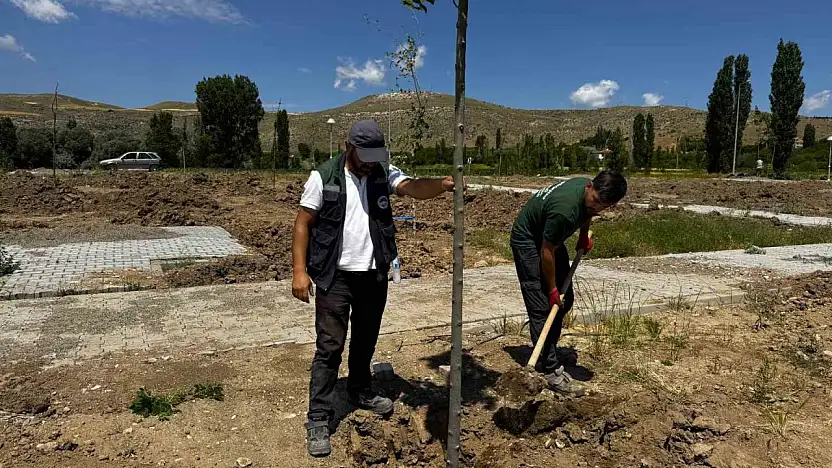 Büyükşehir'den Şahruh Köprüsü yanına dev etkinlik alanı