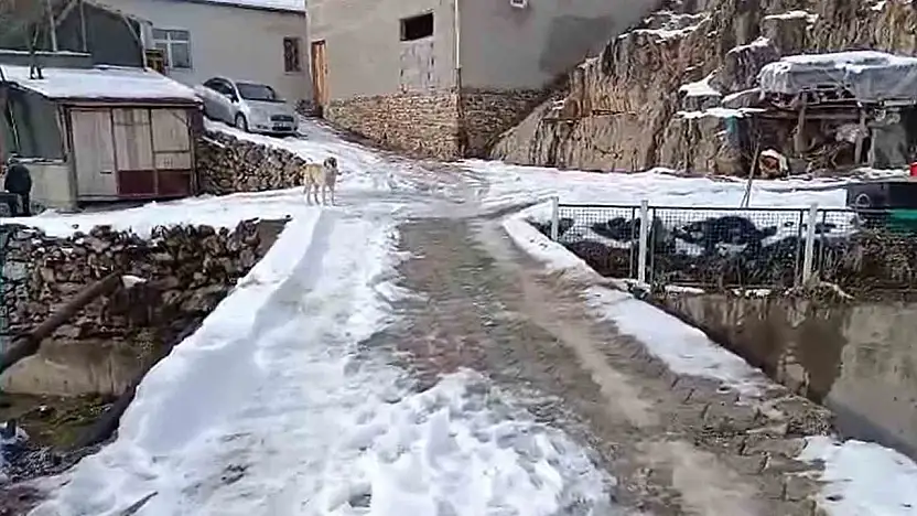 Develi'de mahalleli köprüye korkuluk istiyor