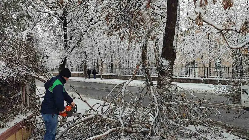 Kayseri Büyükşehir'den kış çalışmalarında ağaç güvenliği seferberliği
