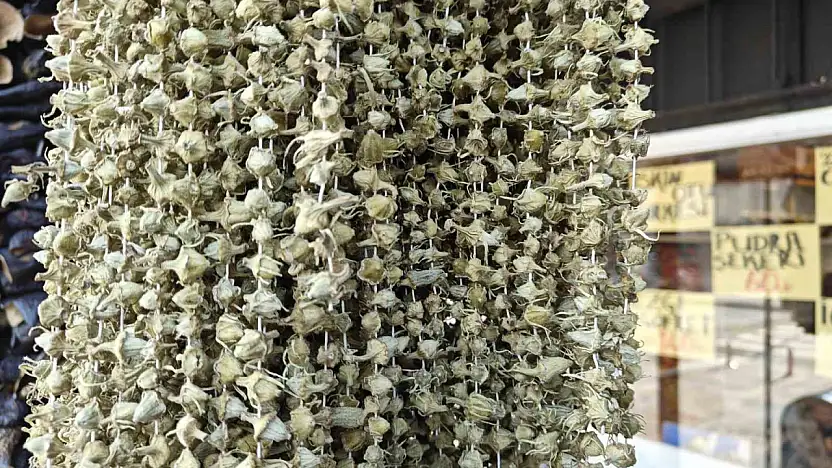 Ramazan'ın gözdesi bamya tezgahlarda