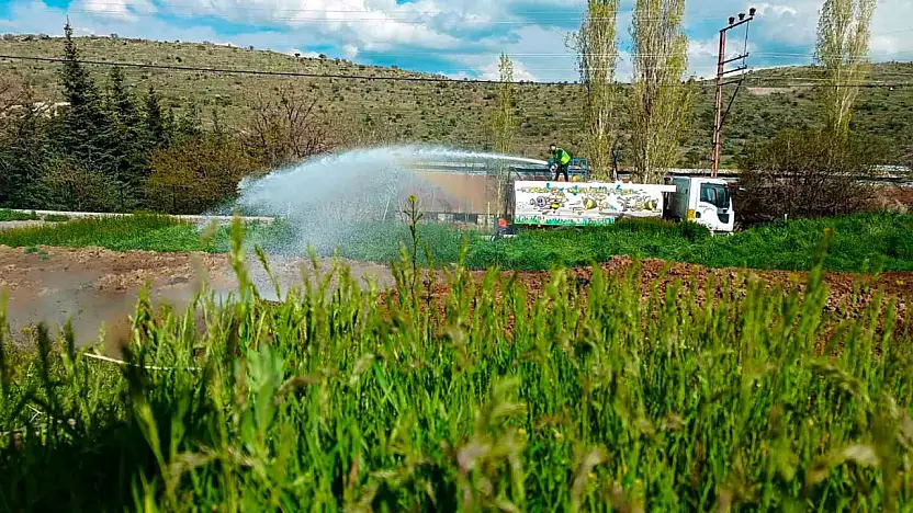 Talas'ta sinek ve haşerata erken önlem