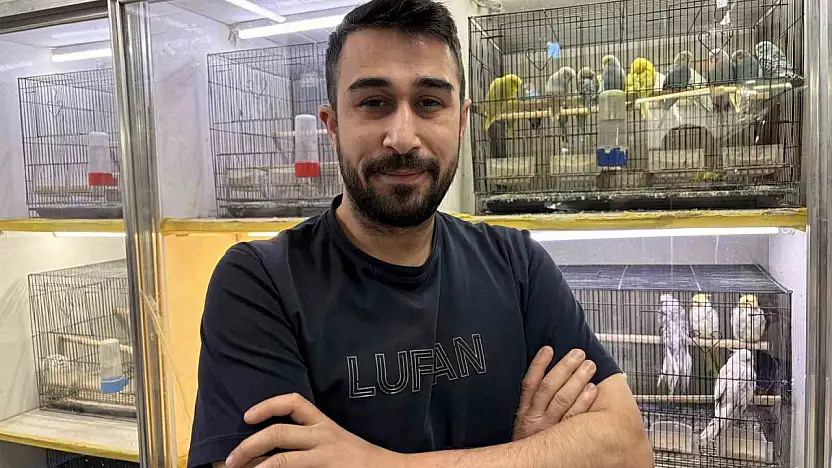 Teknoloji bağımlılığına karşı evcil hayvan önerisi