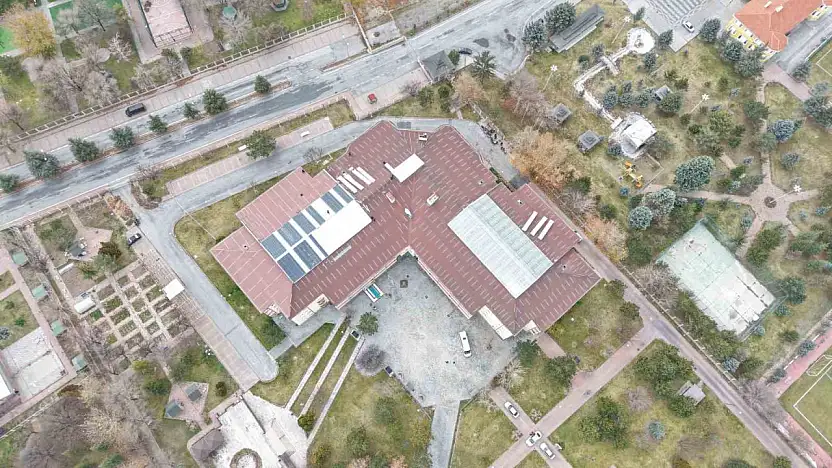 Ulu çınarların yuvası yenileniyor