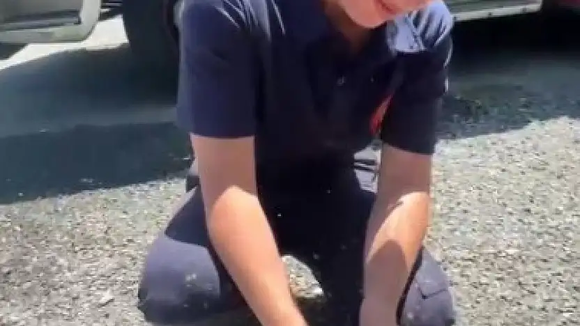 Yangında mahsur kalan kaplumbağaya itfaiyeden yardım eli