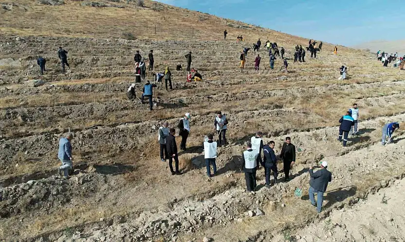'Şahidimiz Toprak, İmzamız Fidan, Sevdamız Yeşil Vatan' Yahyalı'da hayat buldu