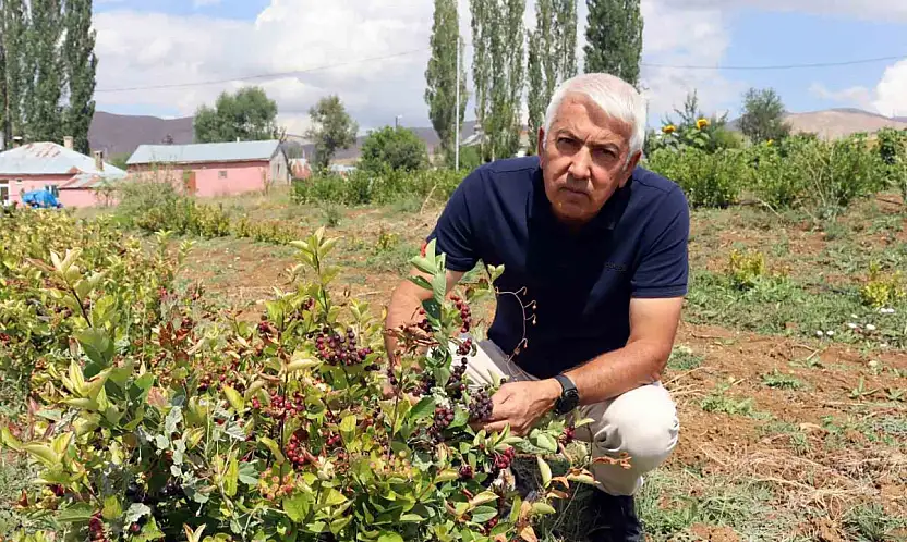 Aronya ile ilçeyi kalkındıracaklar