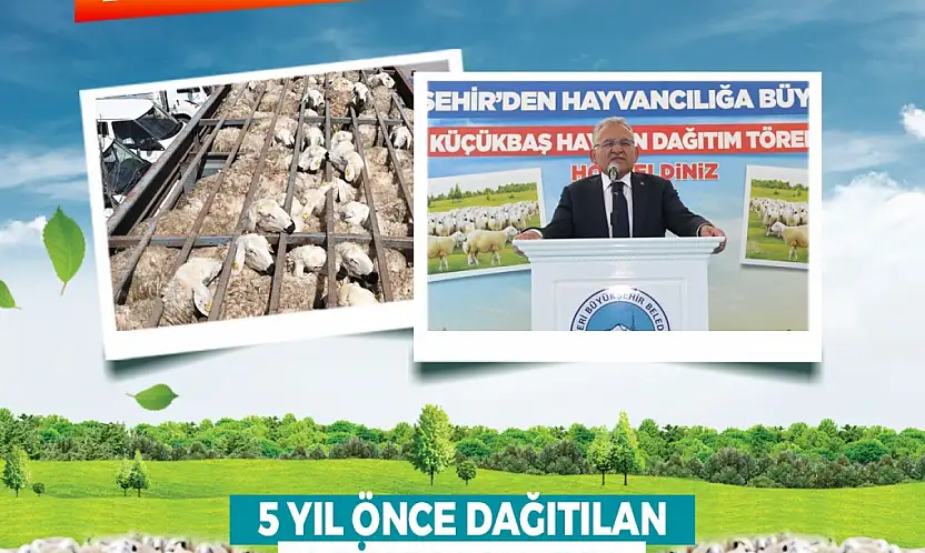 Başkan Büyükkılıç'tan kırsala, kendi kendini büyüten model: 150 bin küçükbaş artışı