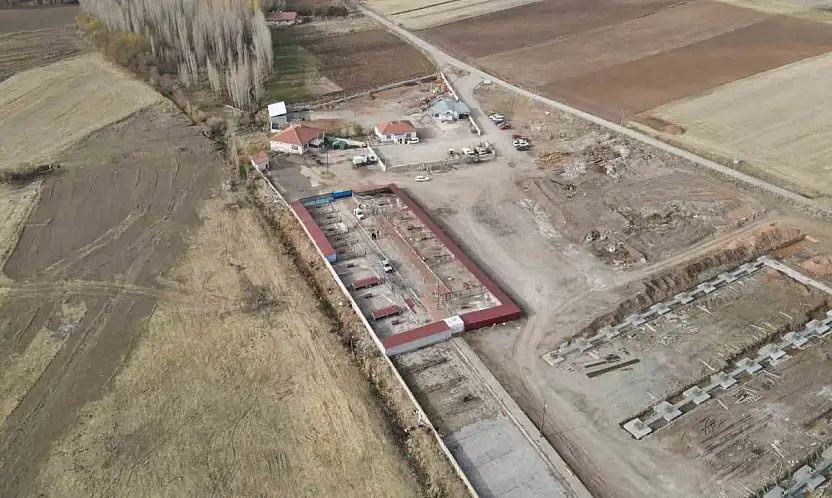 Başkan Metin'den sokak hayvanları için örnek hizmet