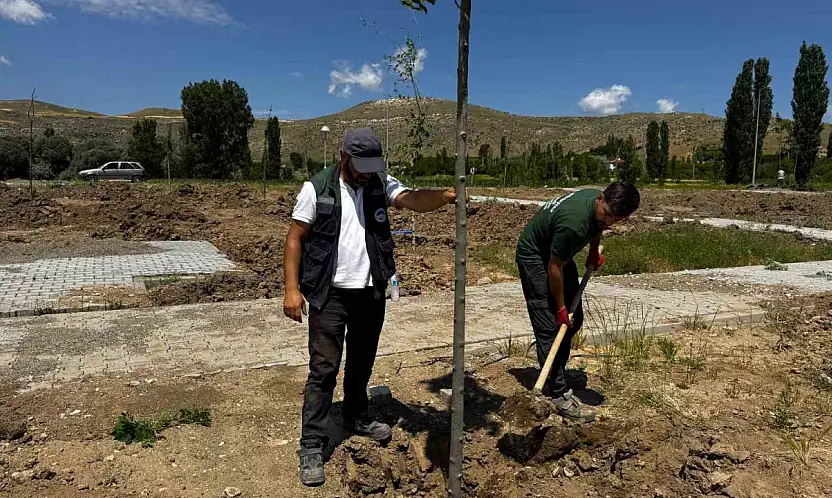 Büyükşehir'den Şahruh Köprüsü yanına dev etkinlik alanı