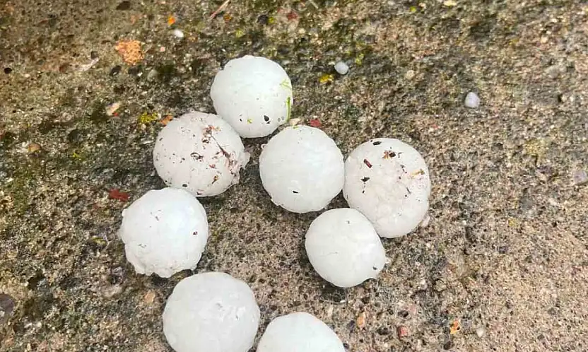 Ceviz büyüklüğünde yağan dolu ağaçlara zarar verdi