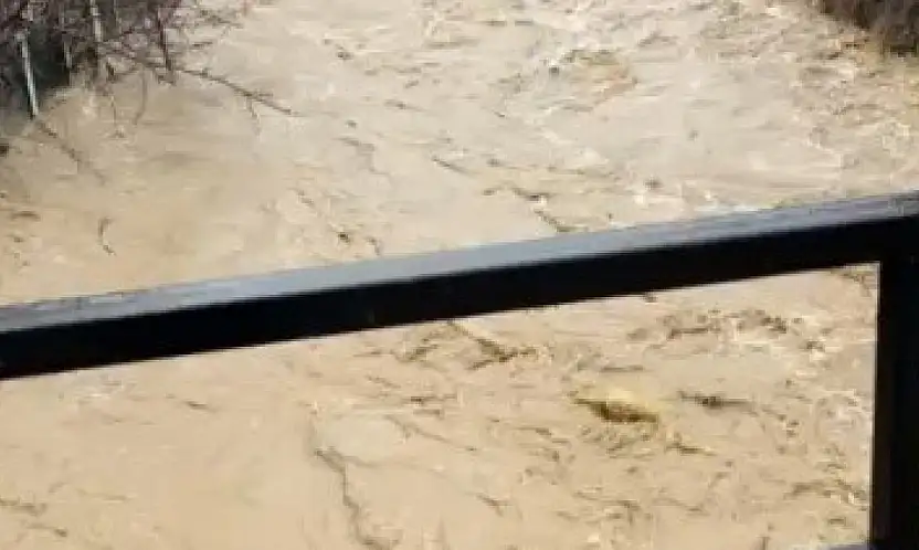 Develi'de aşırı yağış sele neden oldu, bazı ev ve ahırları su bastı