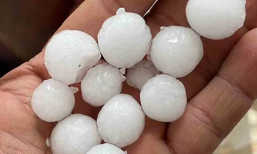Dolu yağışı ekili alanlara zarar verdi