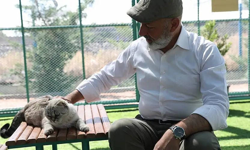 Kayseri'de ilk ve tek küçük dostları Kedi Kasabası, ziyaretçi rekoru kırıyor