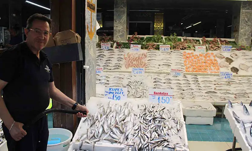 Sezon başladı, balık tezgahları şenlendi
