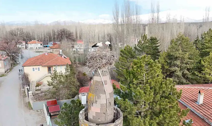 Şıhbarak mahallesinde baharın müjdecisi leylekler yuvalarına döndü