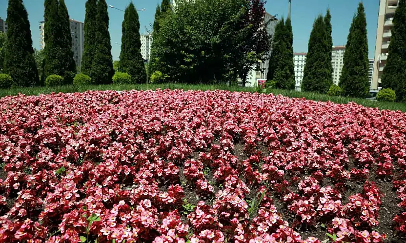 Talas 2026'da rengarenk olacak