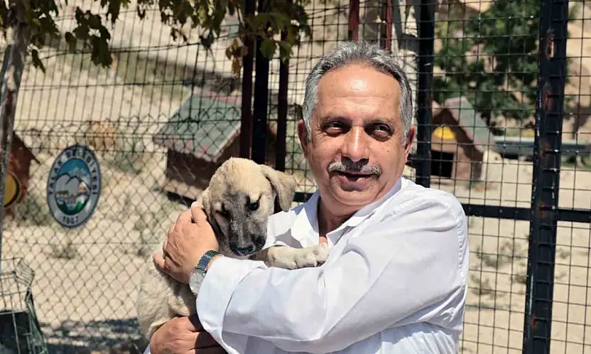 Talas Patievi Doğal Yaşam Alanı 500 can için seçkin bir yuva