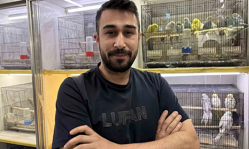 Teknoloji bağımlılığına karşı evcil hayvan önerisi