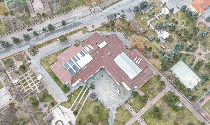 Ulu çınarların yuvası yenileniyor