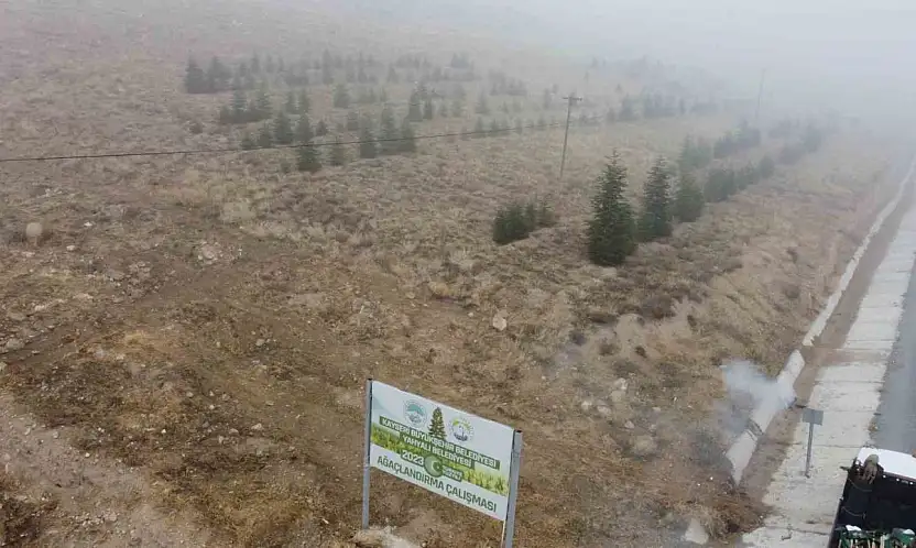 Yahyalı'ya bin 200 fidan dikildi