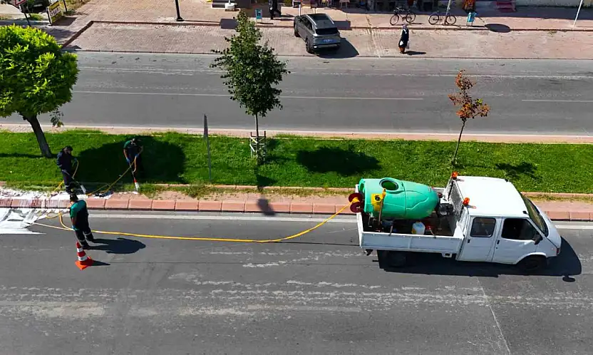 Yeşil alanlarda hastalık ve zararlılara karşı mücadele sürüyor